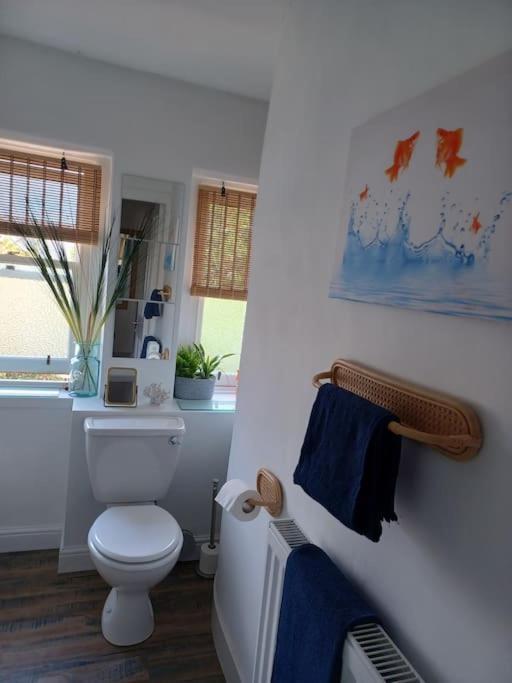 The Fuzzy Duck Apartamento Broughty Ferry Exterior foto